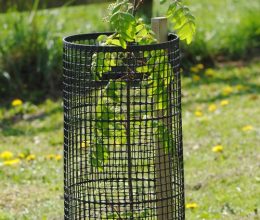 Plastic Mesh Guards