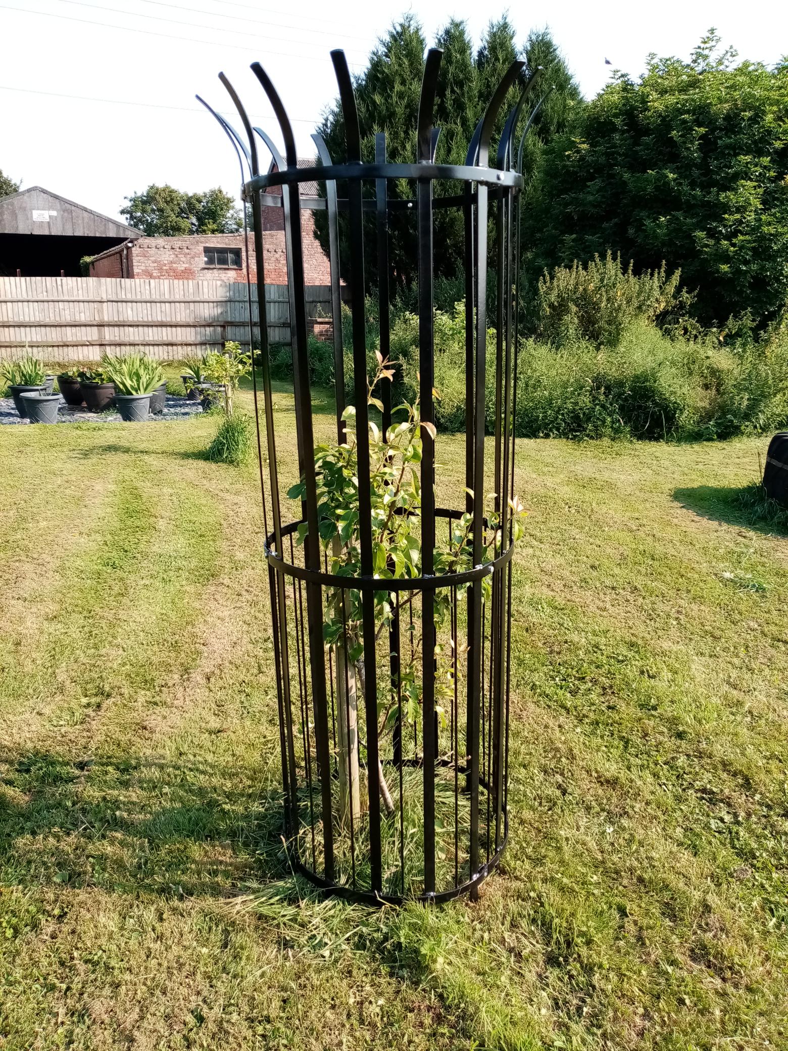 Steel tree guard from Toms Tree Ties