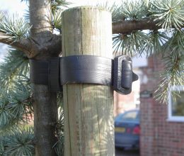 Buckled Belt Tree Tie