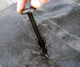 Plastic Pegs