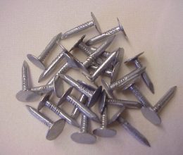Galvanised Nails