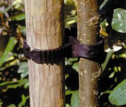 Super Soft Tree Ties