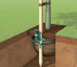 Tree & Shrub Irrigation