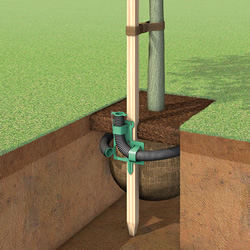 Tree Irrigation Systems