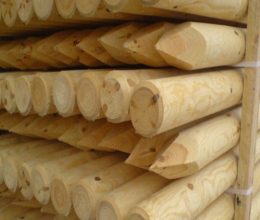 Tree Stakes & Bamboo Canes
