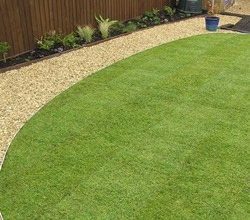 Ground Maintenance & Rite Edge Lawn Edging